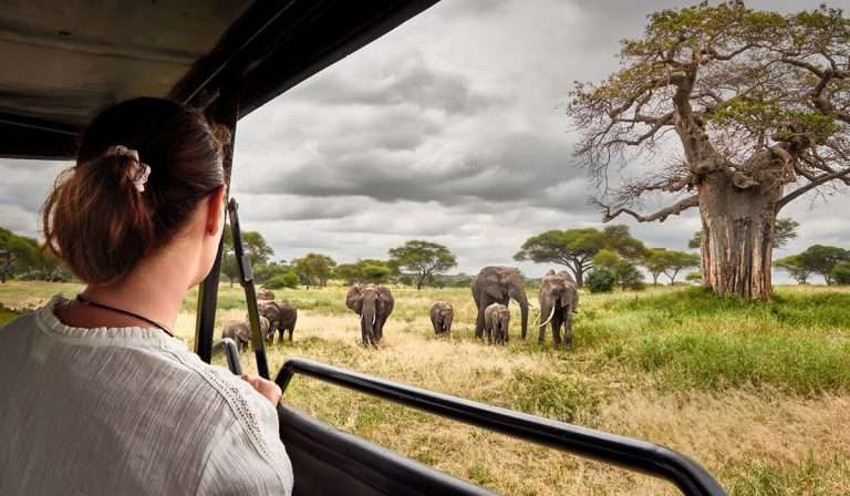 tarangire-national-park-1-768x448-1